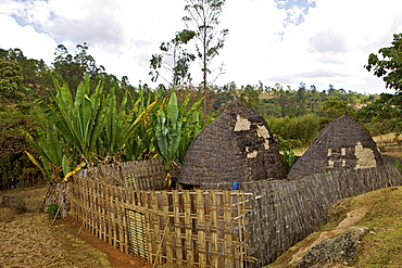 Traditional huts, Omo region, Chencha, Dorze, Ethiopia, Africa