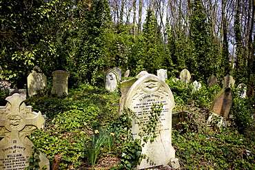 Graves at Highgate Cemetery, London, England, United Kingdom, Europe