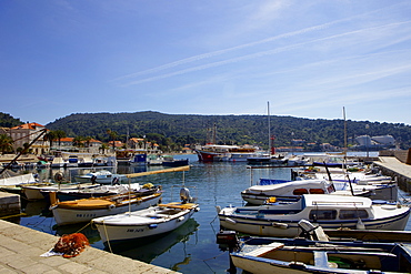 Boats in Lopud harbour, South Dalmatia, near Dubrovnik, Croatia, Europe