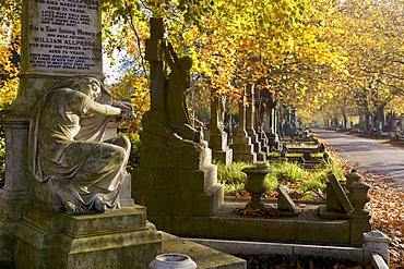 Grave stones on a sunny autumn day at the City of London Cemetery, London, England, United Kingdom, Europe