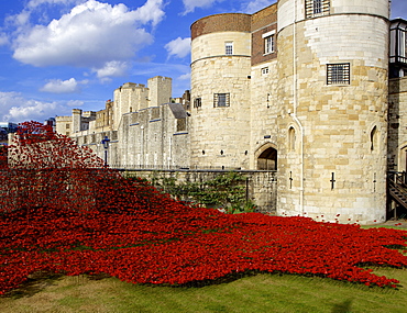 Blood Swept Lands and Seas of Red installation at The Tower of London marking 100 years since the First World War, Tower of London, UNESCO World Heritage Site, London, England, United Kingdom, Europe