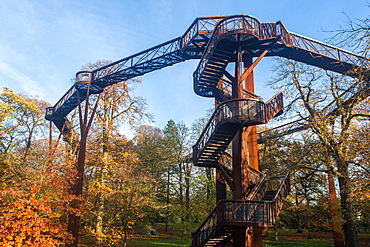 The Treetop Walkway in autumn at Kew Gardens, UNESCO World Heritage Site, Greater London, England, United Kingdom, Europe