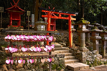 Kasuga Wakamiya Shrine in Nara Park, Nara, Honshu, Japan, Asia