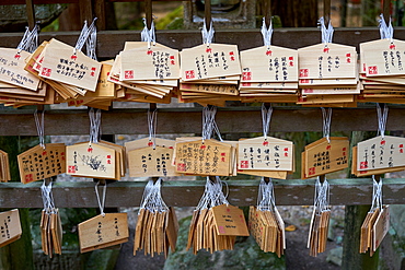 Votives, or prayer tablets, at Kasuga Wakamiya shrine in Nara, Honshu, Japan, Asia