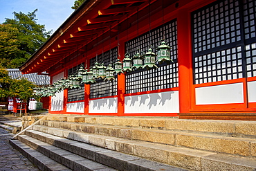 Bronze lanterns at Kasuga Grand shrine (Kasuga-taisha), UNESCO World Heritage Site, Nara Park, Honshu, Japan, Asia