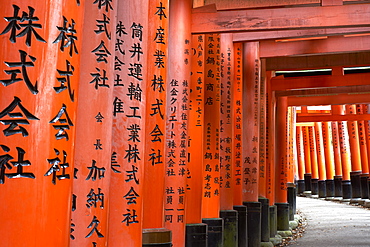 Prayers written in Japanese on the red wooden Torii Gates at Fushimi Inari Shrine, Kyoto, Japan, Asia