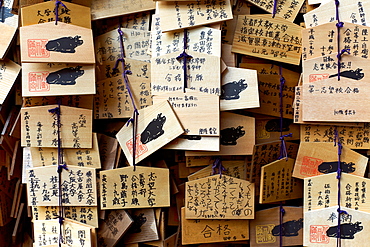 Votives (Ema prayer tablets), with prayers and wishes for success at Kitano Tenmangu Temple, Kyoto, Japan, Asia