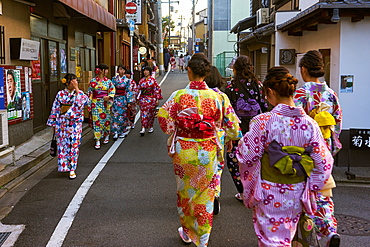 Groups of Japanese women wearing kimonos in Kyoto, Japan, Asia