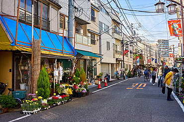 Yomise Dori street in Tokyo's traditional Yanaka district, Tokyo, Japan, Asia