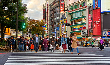 Crowds crossing the road at the Shibuya Crossing, Tokyo, Japan, Asia