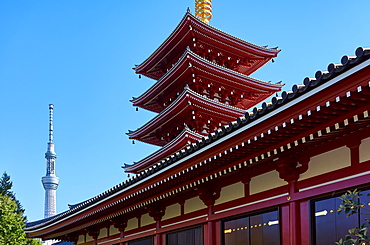 Sensoji Temple Pagoda (Asakusa Kannon Temple), the oldest temple in Tokyo with the Sky Tree Tower in the background, Tokyo, Japan, Asia