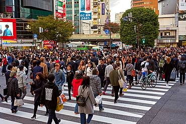 Crowds walking through the Shibuya Crossing, Tokyo, Japan, Asia