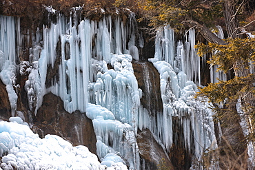 Nuorilang waterfall at Jiuzhaigou valleyNational Park, Sichuan Province, China. Jiuzhaigou (Nine-Village Gully) is a scenic spot in the northern part of Sichuan Province, China