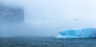 Cliff and iceberg, Spitsbergen Svalbard