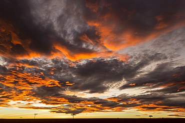 Kenya, Masai-Mara game reserve, clouds at sunrise