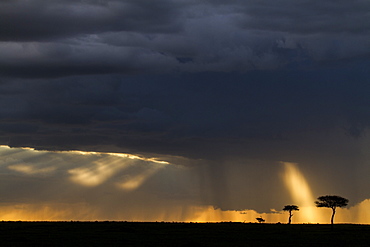 Kenya, Masai-Mara game reserve, clouds at sunset