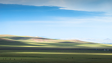 Herds and herders on the site of Tsaritsyn Ereg, Valley High Tamir - Mongolia