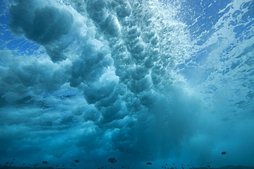 Surf on the reef at the entrance to Tiputa pass , Rangiroa atoll , French Polynesia .