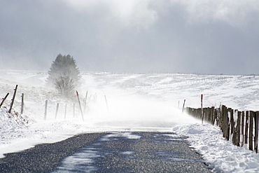 Snow drifts in winter, Massif du Sancy, Parc Naturel Regional des Volcans d'Auvergne , France