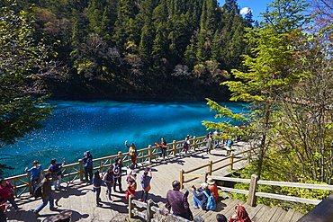 Five colors lake, Jiuzhaigou valley, Sichuan, China