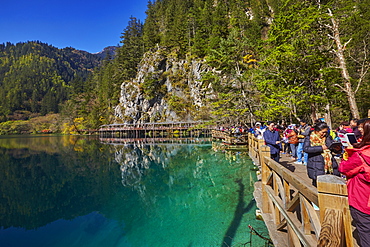 Panda lake, Jiuzhaigou valley, Sichuan, China