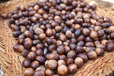 Nutmeg - Grogos Island Maluku Indonesia