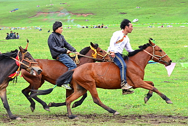 Horse Racing at the Lapste - Tibet China