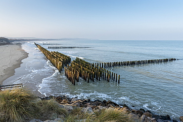 Alignment of wooden piles planted in the sand to disperse the energy of the swell and favor the return of sediments, winter, Opal Coast, France