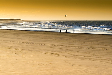 Fishermen looking for worms on Calais beach at sunset, winter, Pas de Calais, France