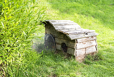 Rabbit hutch in a garden, summer, Moselle, France