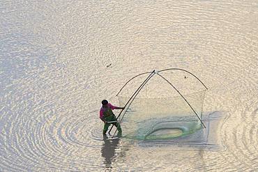 Fishermen on foot, shrimp fishing with net, Xiapu County, Fujiang Province, China