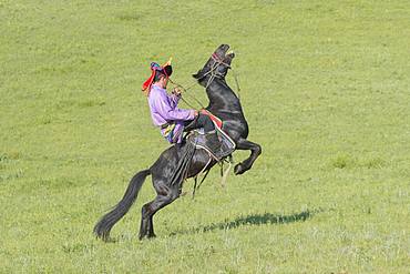 Mongol man traditionnaly dressed on a horse, traditional exercise of address, demonstration of pitching, Bashang Grassland, Zhangjiakou, Hebei Province, Inner Mongolia, China