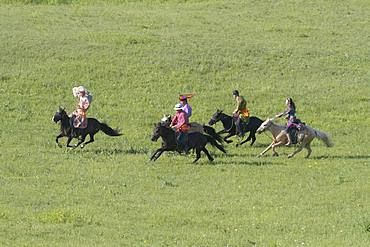 Mongolians traditionnaly dressed on a horse, traditional exercise of address, Bashang Grassland, Zhangjiakou, Hebei Province, Inner Mongolia, China