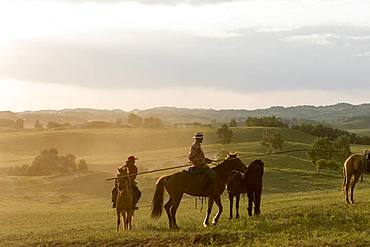 Mongol on a horse, with a catch lasso, Bashang Grassland, Zhangjiakou, Hebei Province, Inner Mongolia, China