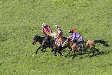 Mongolians traditionnaly dressed on a horse, traditional exercise of address, Bashang Grassland, Zhangjiakou, Hebei Province, Inner Mongolia, China