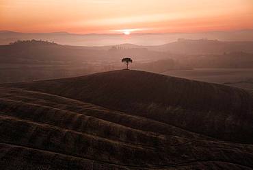 Hills of Tuscany, Siena, Tuscany, Italy