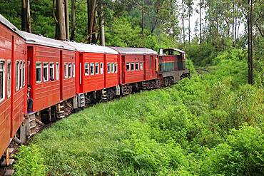 Train crossing the tea plantations, Sri Lanka