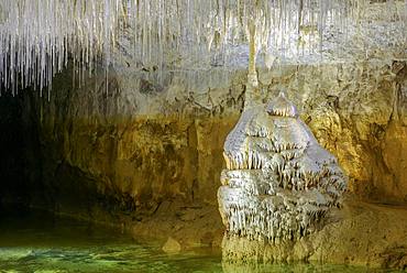 Concretions in the caves of Choranche, cave remarkably rich in fistuleuses, fine stalagmites that can reach several meters long, Massif du Vercors, Isere, France