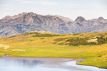 Lake Nino (1760m) on the GR 20, stage between the refuge of Manganu and the Col de Verghio or Castellu di Vergio, in the background the Capu a Chiostru, Capu ai Sorbi and Monte Rotondo (2622m) in the center, Haute-Corse, France