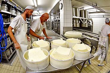 Morbier cheese making, Cheese factory, Damprichard, Doubs, France