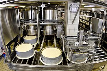 Morbier cheese making, Cheese factory, Damprichard, Doubs, France