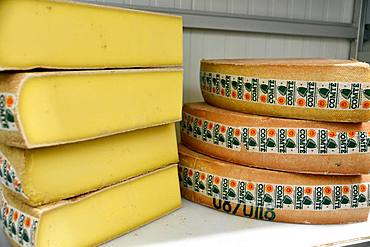 Comte cheese making, Cheese cut, Cheese factory, Damprichard, Doubs, France