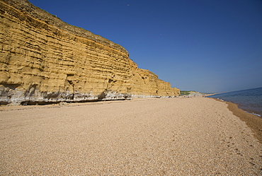 Iconic golden cliffs West Bay and Hive Beach Burton Bradstock Jurassic Coast Dorset UK