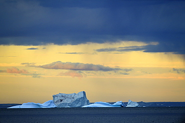 Iceberg at sunset in Scoresby Sund, It will soon be more than drifting ice pieces, Greenland