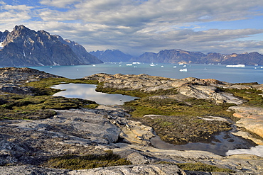 Landscape of the Bredning Hall at the bottom of Scoresby Sund, from one of the islands of the Bear Archipelago, to the bottom of the great basalt cliffs of Greenland