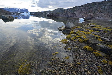 Low tide at the bottom of Scoresby Sund on the Bear Archipelago, Greenland