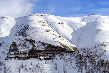 Plantation avalanche protection in Oisans, Ferrand Valley, Ecrins NP, Oisans, Northern Alps, France