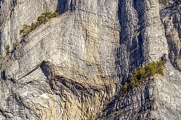 Cliff with remarkable stratifications, folded layers of marls and limestones of the Lower Jurassic, above Bassey near Bourg d'Oisan, Ecrins NP, Alps, France