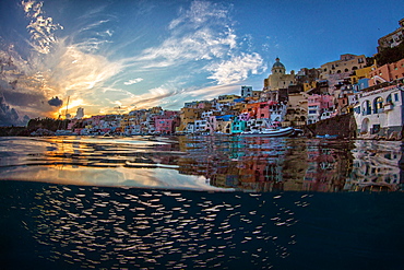 School of fish under the surface at dusk, island Procida, La Corricella, Tyrrhenian Sea, Campania Italy