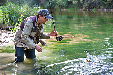 Trout fishing on the Loue river, fly fishing, Franche-Comté, France